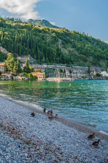 Alloggio Con Idromassaggio E Super Vista Nave San Felice Eksteriør bilde