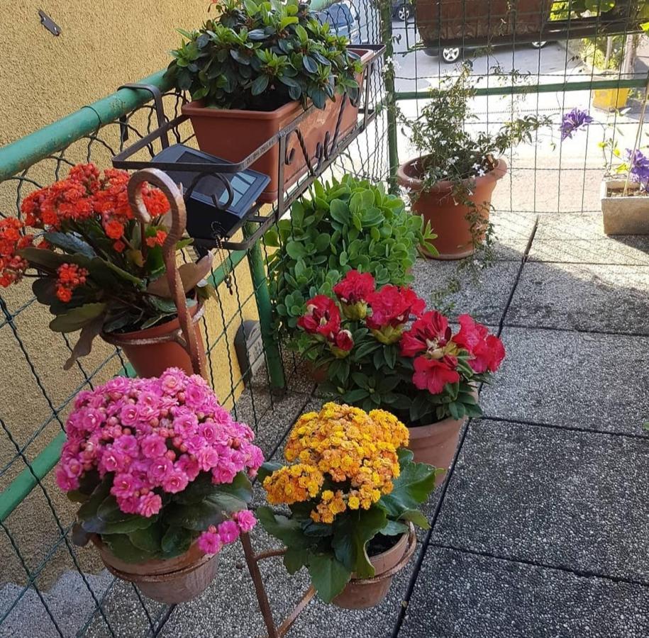 Alloggio Con Idromassaggio E Super Vista Nave San Felice Eksteriør bilde
